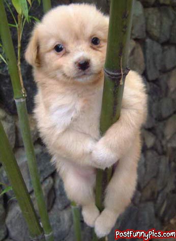 post-funny-pics-0849