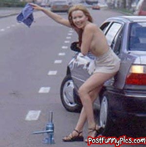 post-funny-pics-0873