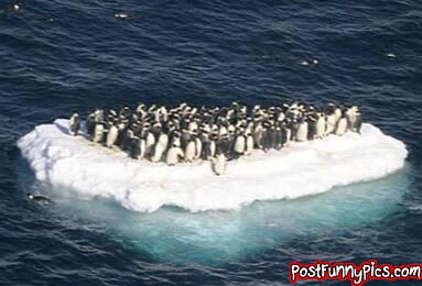 post-funny-pics-0903