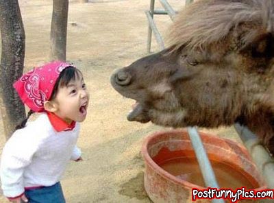 post-funny-pics-0908