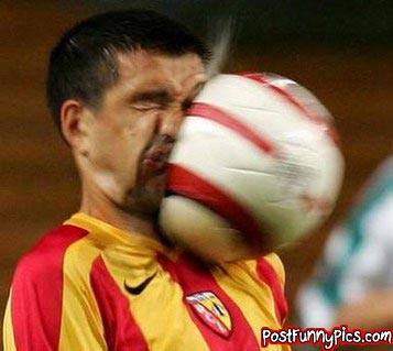 post-funny-pics-0927