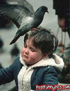 post-funny-pics-0931