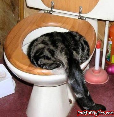 post-funny-pics-0970