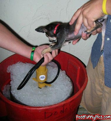 post-funny-pics-0982