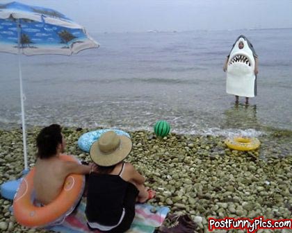 post-funny-pics-0985
