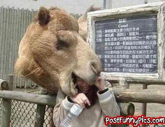 post-funny-pics-0995