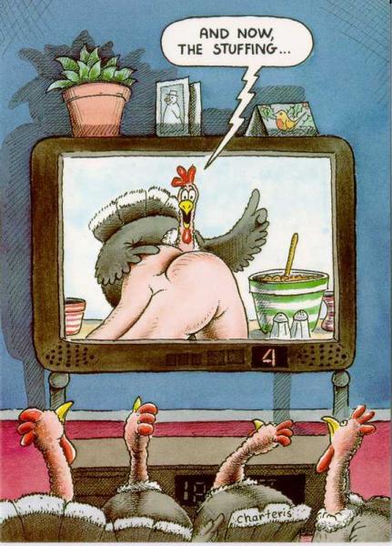 turkeydinner